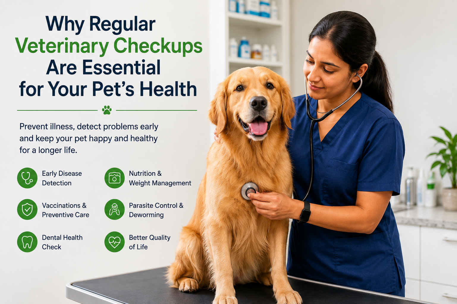 Why Regular Veterinary Checkups Are Essential for Your Pet&rsquo;s Health
